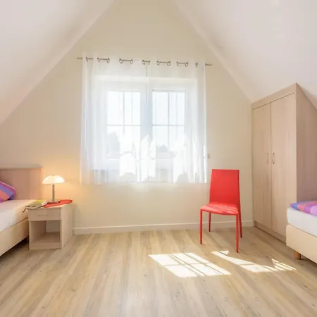 Bellis Perennis Nyaraló Zirchow