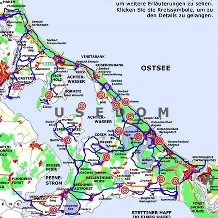 Nyaraló Bellis Perennis Zirchow