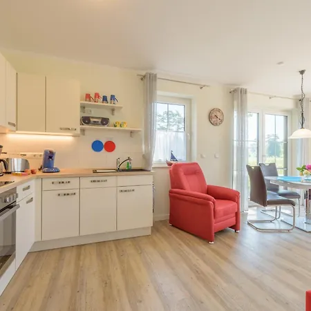 Bellis Perennis Zirchow