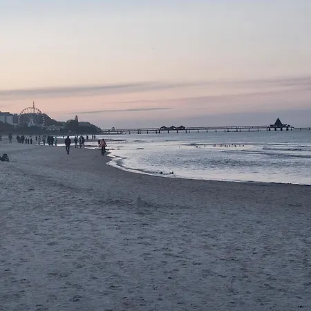 Bellis Perennis Nyaraló *