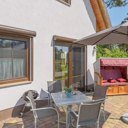 Bellis Perennis Zirchow