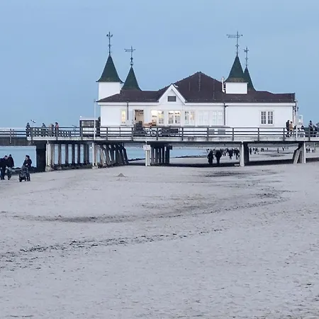 Nyaraló Bellis Perennis Zirchow