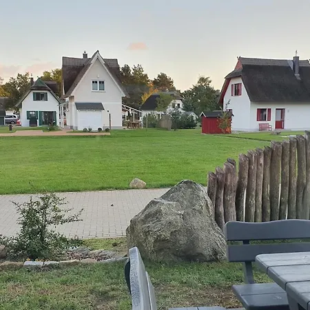 Bellis Perennis Zirchow